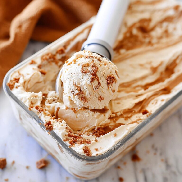 Easy Biscoff Ice Cream Recipe